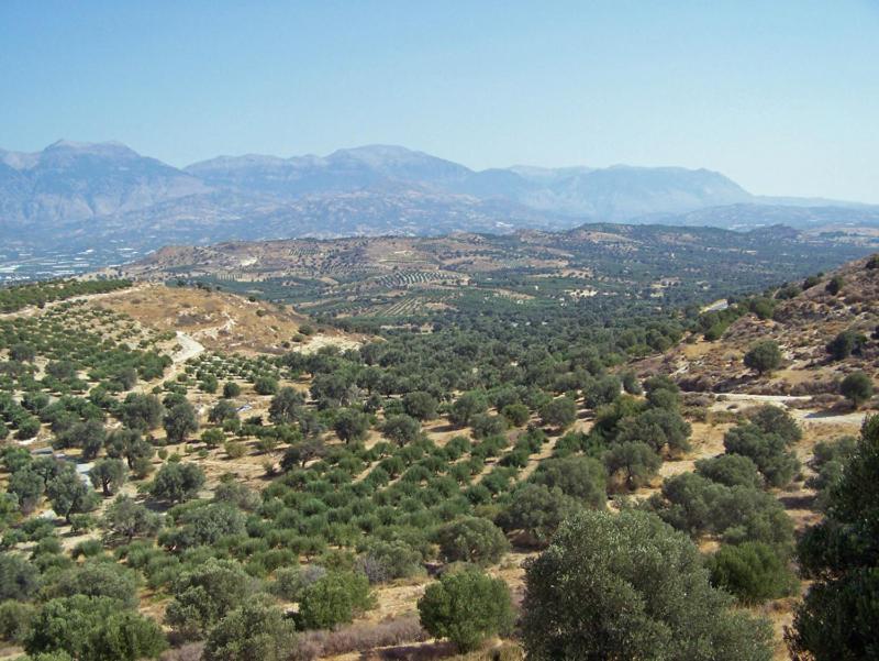 Villas Alexandros Καλαμάκι Δωμάτιο φωτογραφία