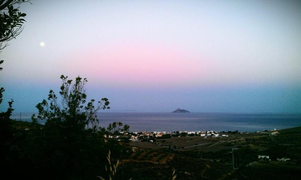 Villas Alexandros Καλαμάκι Δωμάτιο φωτογραφία